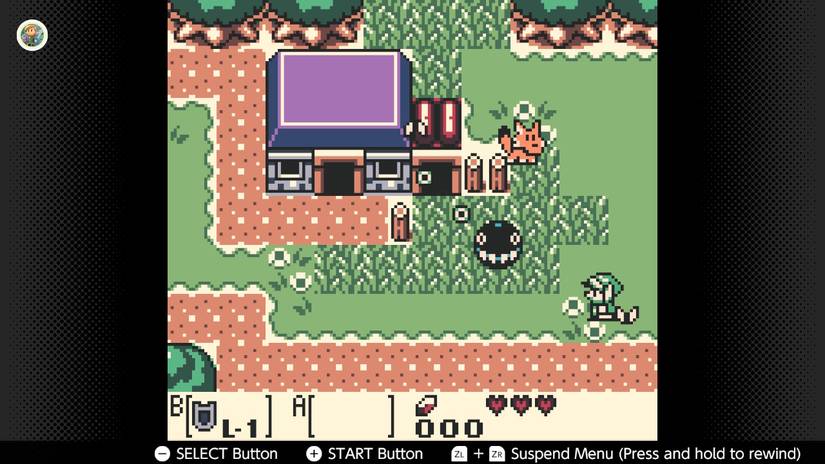 Screenshot of The Legend of Zelda Link's Awakening DX for the Game Boy Color on the Nintendo Switch Online service