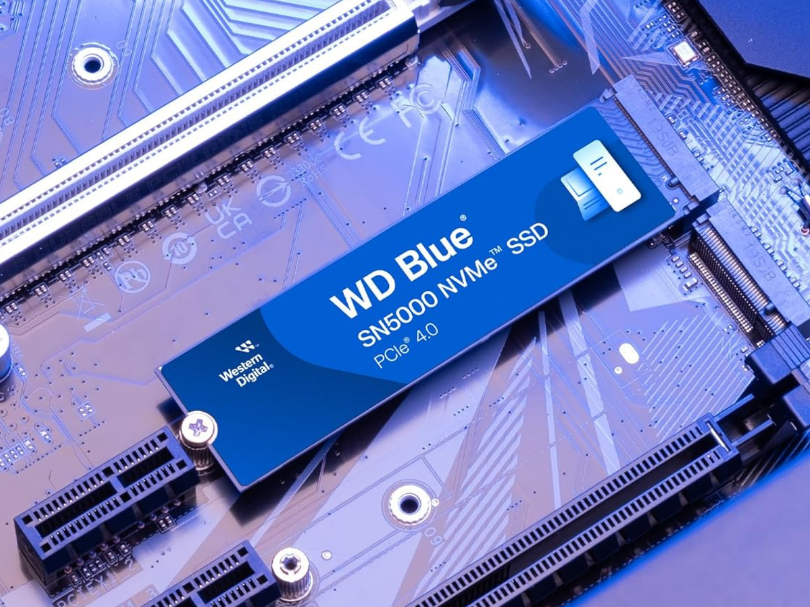 4tb SSD WD Blue SN5000 NVMeケース付き WD Blue SN5000 4TB NVMe SSD review | PC Gamer