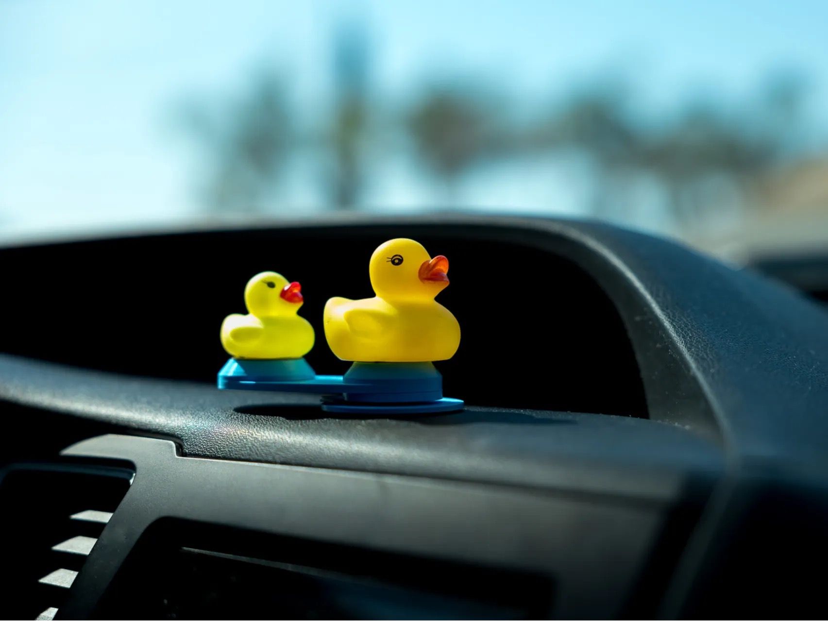 Dash Ducky