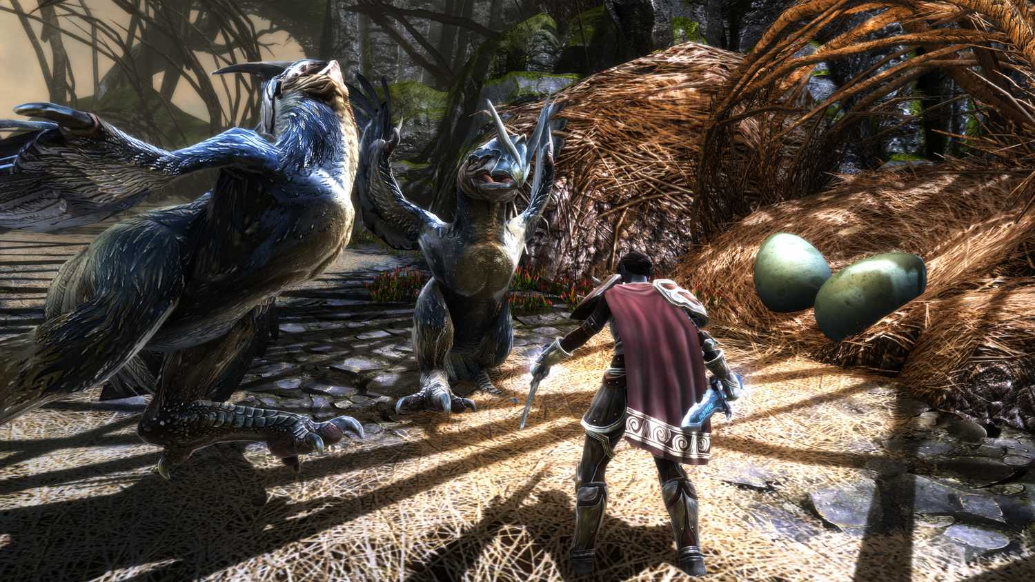 Screenshot from Kingdoms of Amalur: Re-Reckoning video game of character fighting giant birds off around their nest