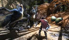 Screenshot from Kingdoms of Amalur: Re-Reckoning video game of character fighting giant birds off around their nest