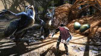 Screenshot from Kingdoms of Amalur: Re-Reckoning video game of character fighting giant birds off around their nest