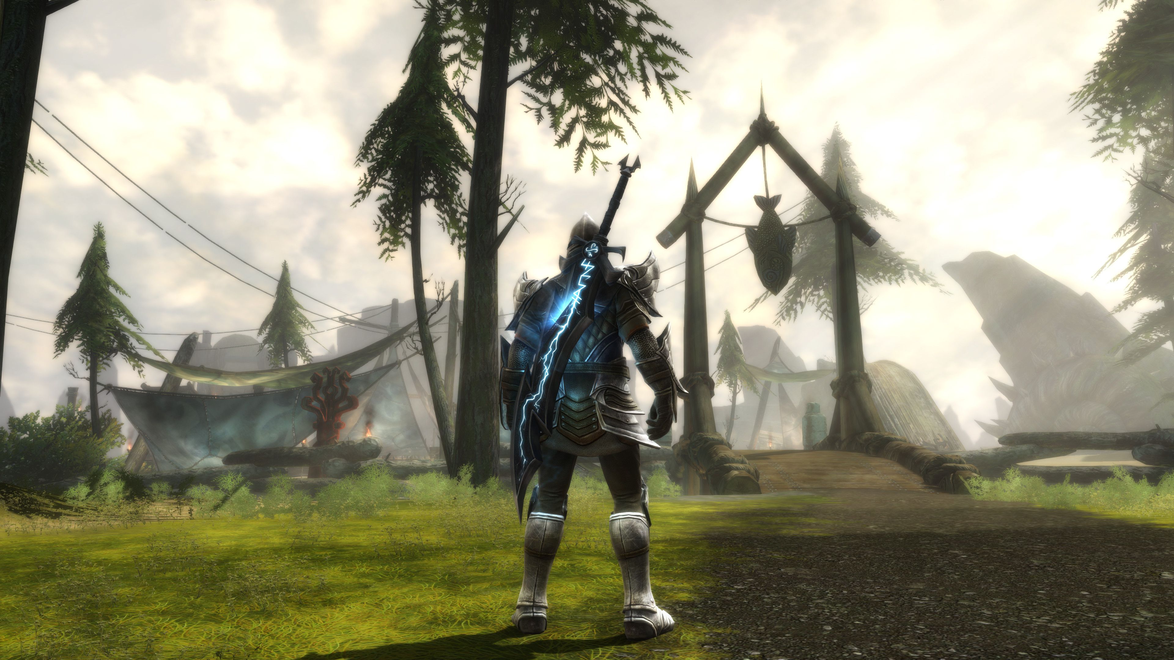 Screenshot from Kingdoms of Amalur: Re-Reckoning video game of character in fantasy world standing in green forest area.