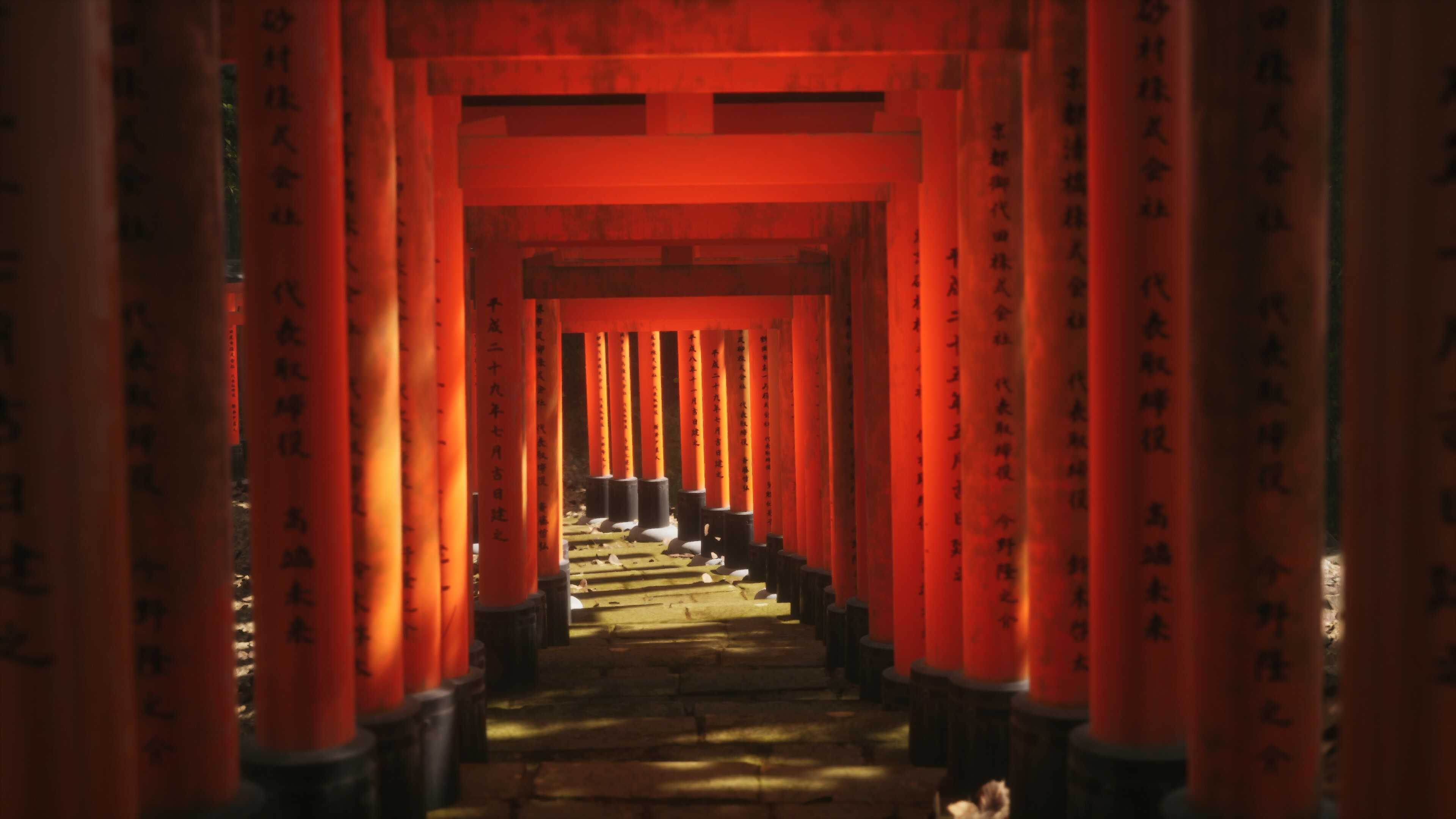 Screenshot from Lushfoil Photography Sim video game of torii gates