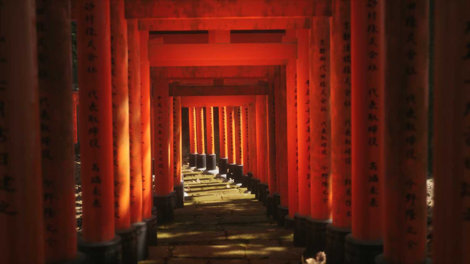 Screenshot from Lushfoil Photography Sim video game of torii gates