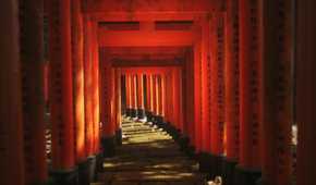 Screenshot from Lushfoil Photography Sim video game of torii gates