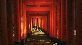 Screenshot from Lushfoil Photography Sim video game of torii gates