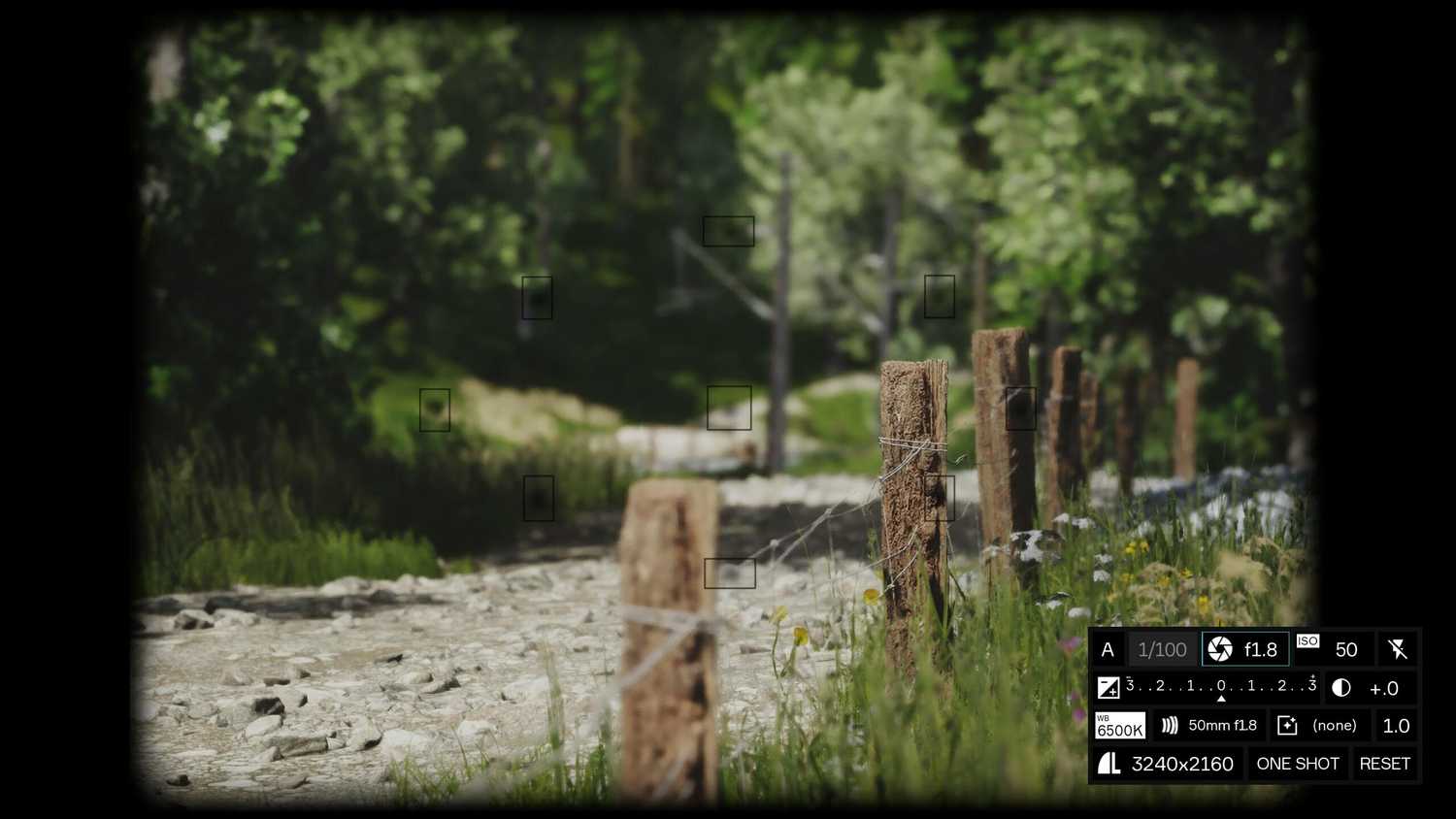 Screenshot from Lushfoil Photography Sim video game of camera taking a photo of wooden fence with metal wire