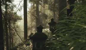 Screenshot from Lushfoil Photography Sim video game of forest exterior with stone lanterns