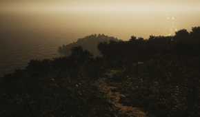 Screenshot from Lushfoil Photography Sim video game of sun setting on a forest coastline