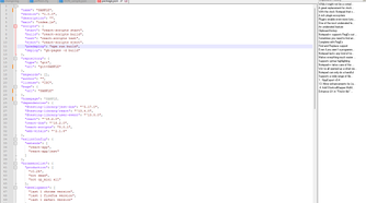 notepad++_2