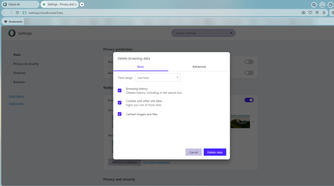 Opera-Air-clear-browsing-data