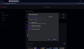 Opera-clear-browsing-data