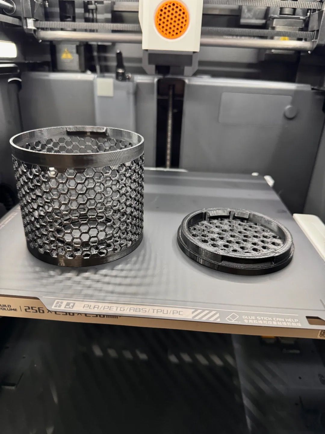 PETG Apex Cor20 Strainer