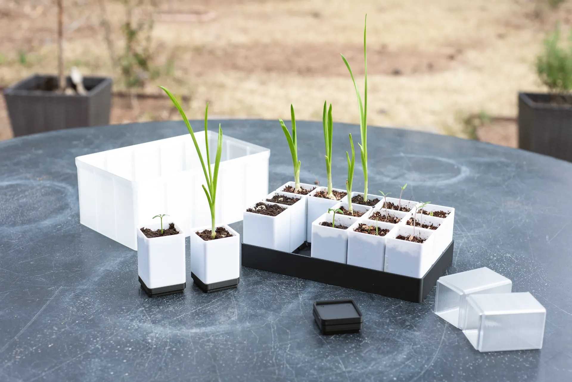 PETG gridfinity greenhouse
