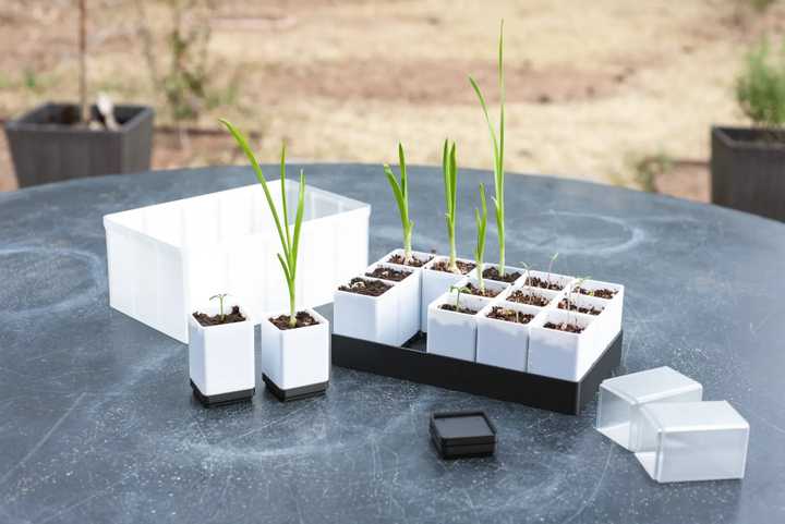 PETG gridfinity greenhouse