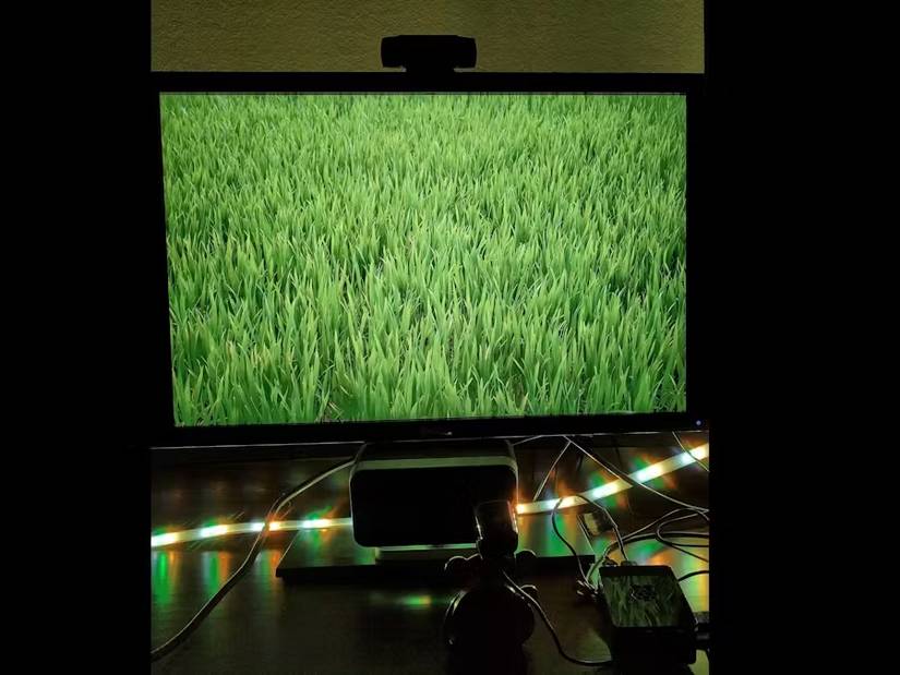 Phillips Hue Ambience