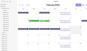 Full Calendar monthly view