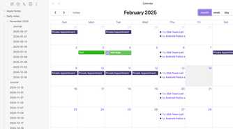 Full Calendar monthly view