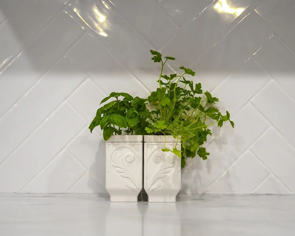 self watering herb planter