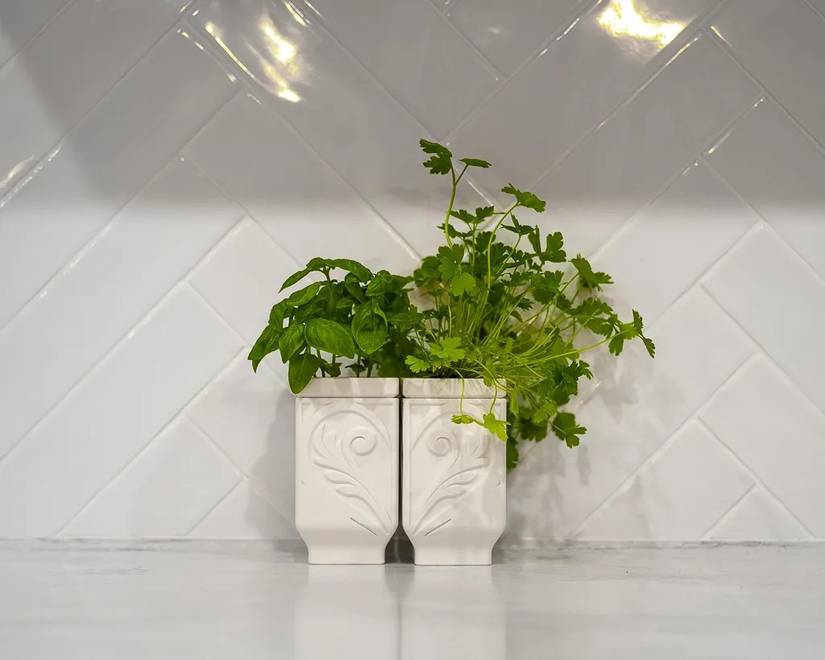 self watering herb planter