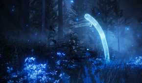 An image from the game Elden Ring: Shadow of the Erdtree, showing a cool, misty forest during night time, where flora and fauna shine.