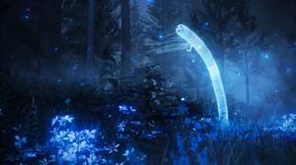 An image from the game Elden Ring: Shadow of the Erdtree, showing a cool, misty forest during night time, where flora and fauna shine.