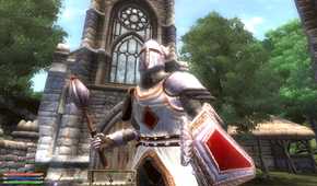 An image from the game The Elder Scrolls IV: Oblivion, showing a character dressed in medieval armor.