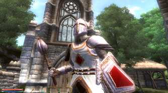 An image from the game The Elder Scrolls IV: Oblivion, showing a character dressed in medieval armor.