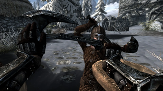 A first person view during combat