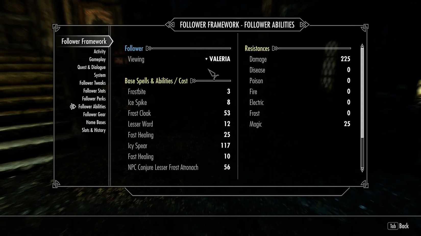 An in-game screenshot of Nether's Follower Framework