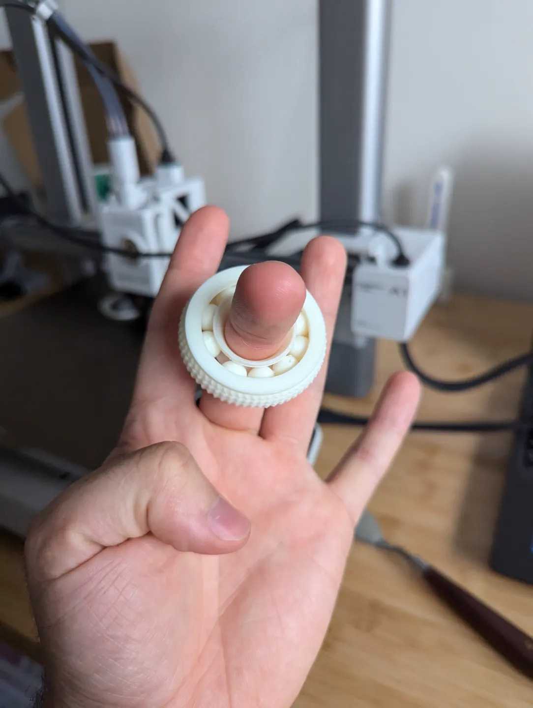 Smooth PETG Fidget Bearing