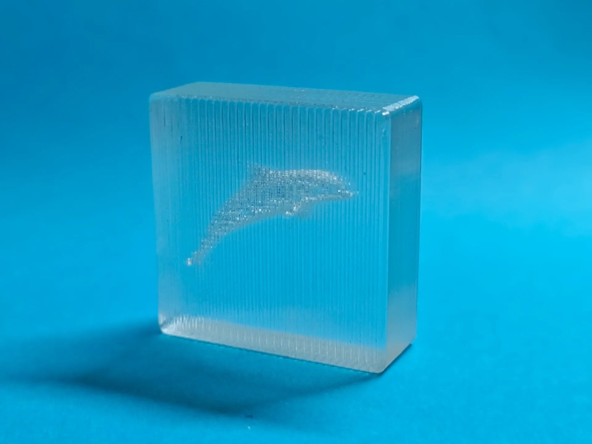 Transparent Dolphin Cube