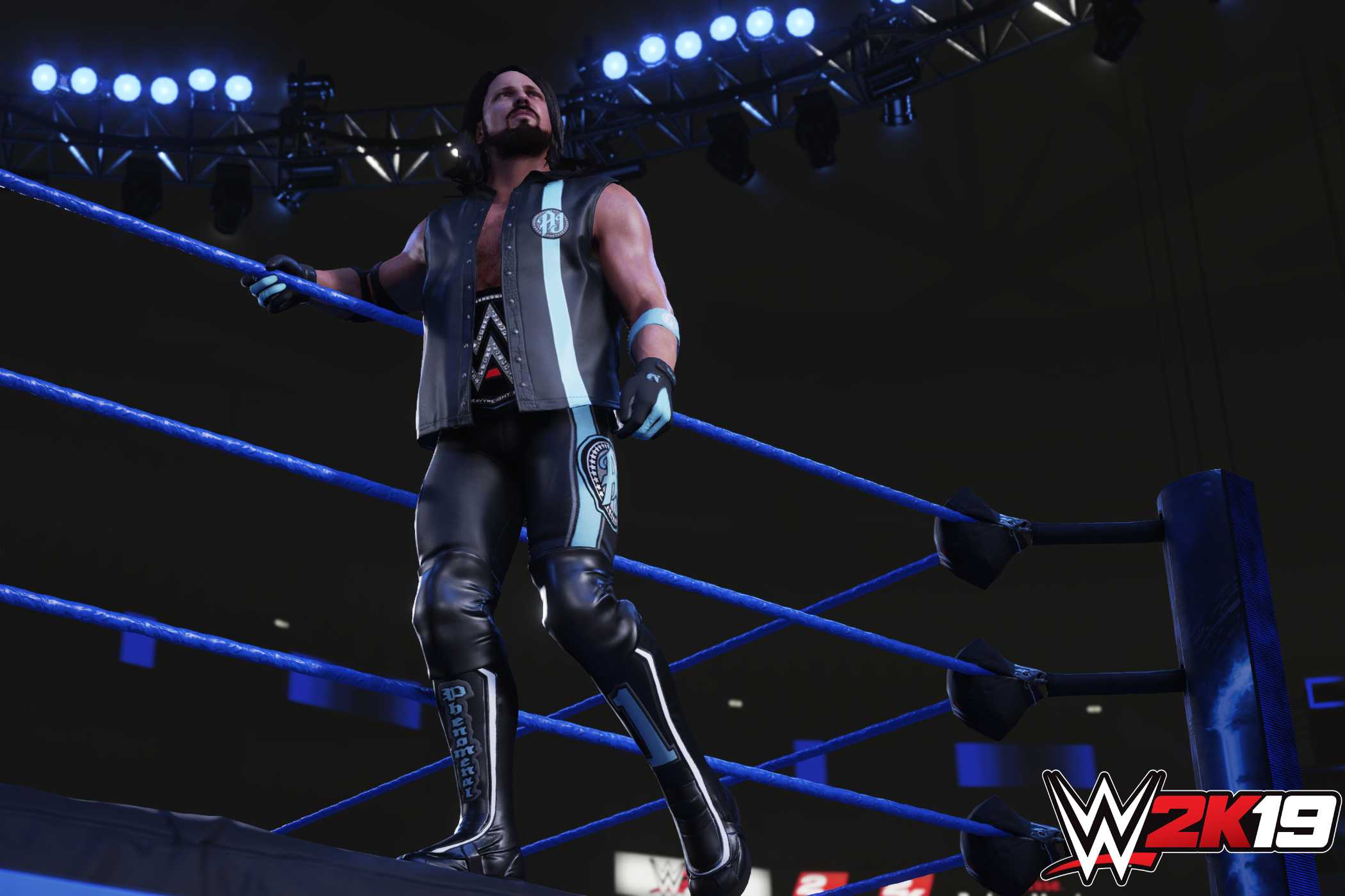 A screenshot from WWE 2K19, showing AJ Styles standing on the ring apron while wearing a WWE title belt around his waist.