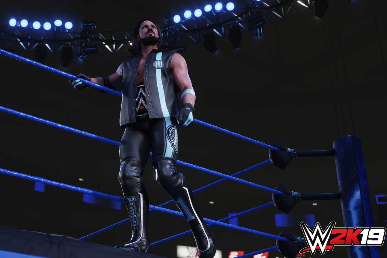 A screenshot from WWE 2K19, showing AJ Styles standing on the ring apron while wearing a WWE title belt around his waist.