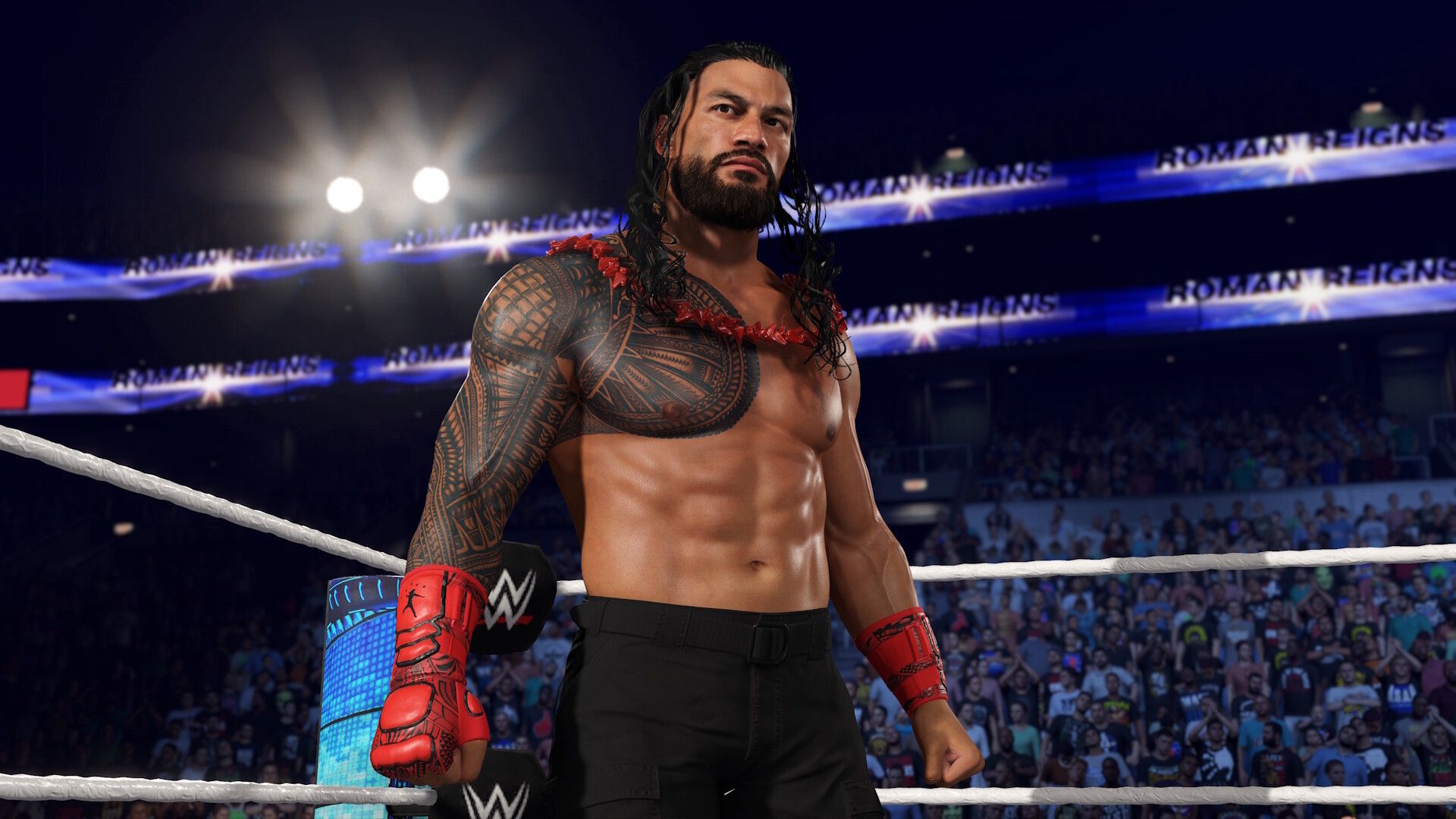 WWE 2K25 sample 4