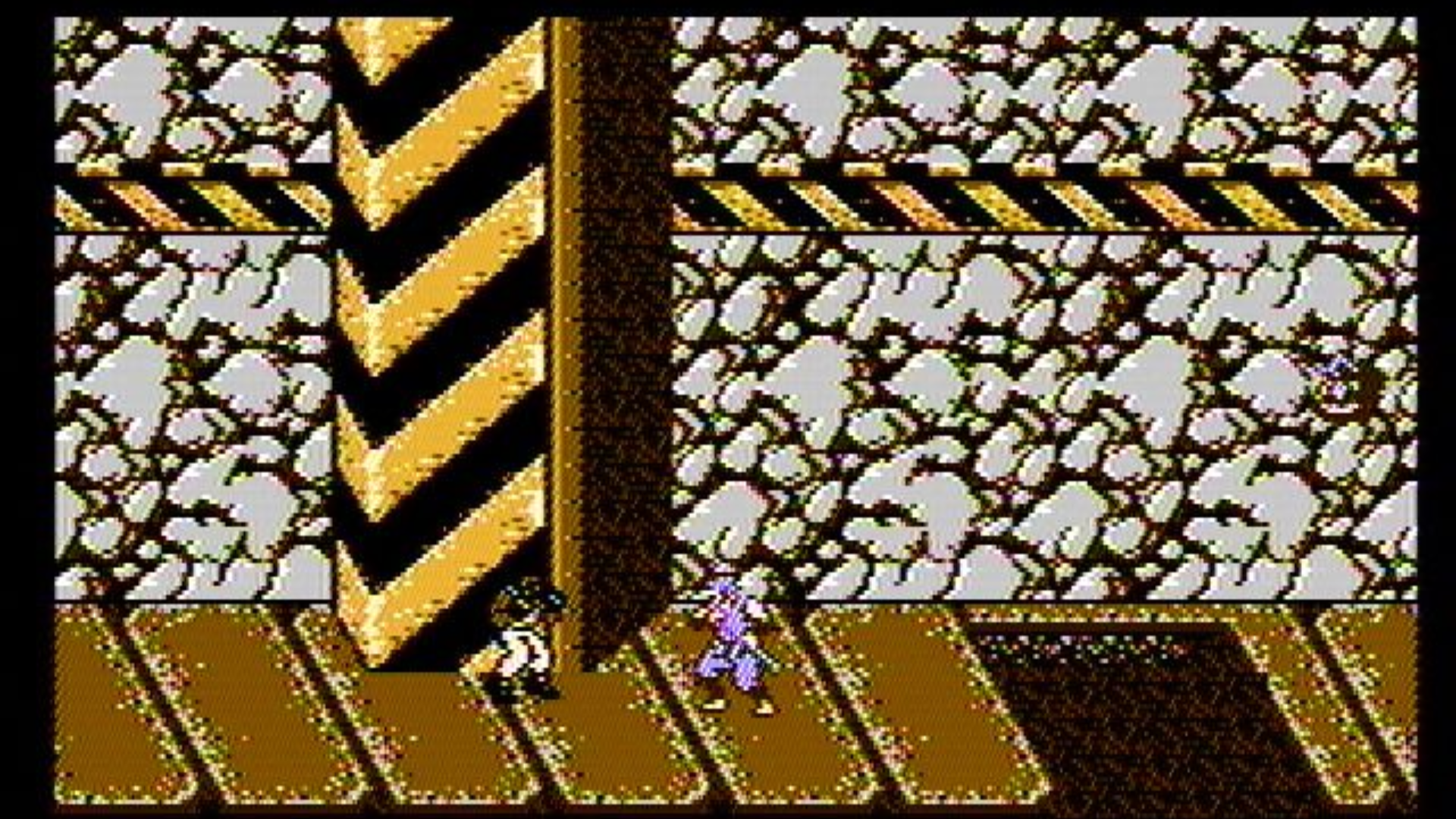 fighting enemies in Ninja Gaiden