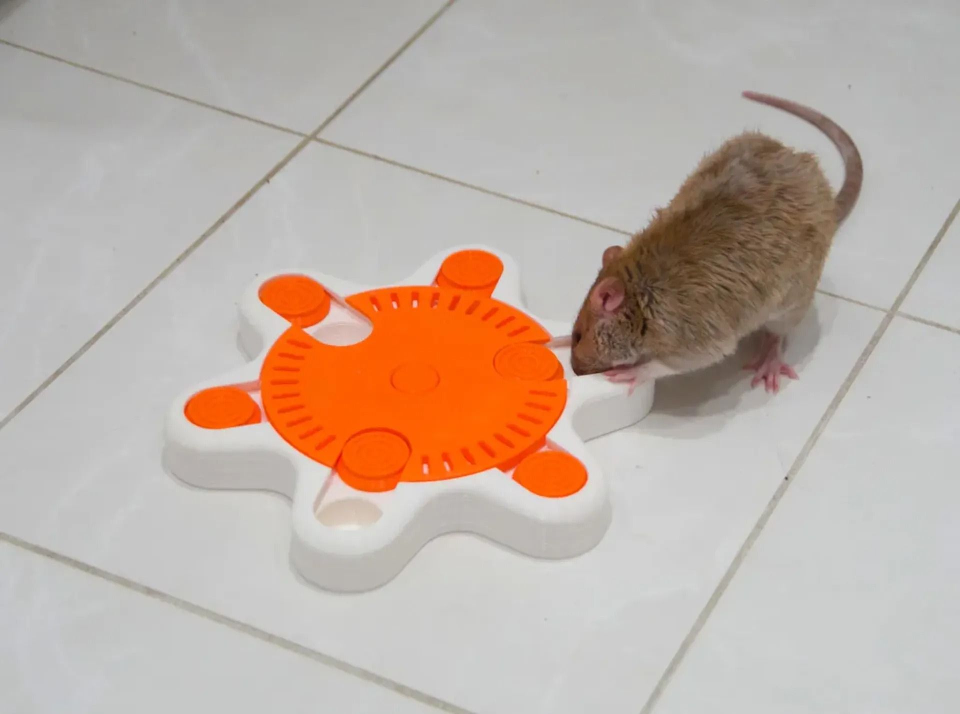 3D-printed-start-toy-3