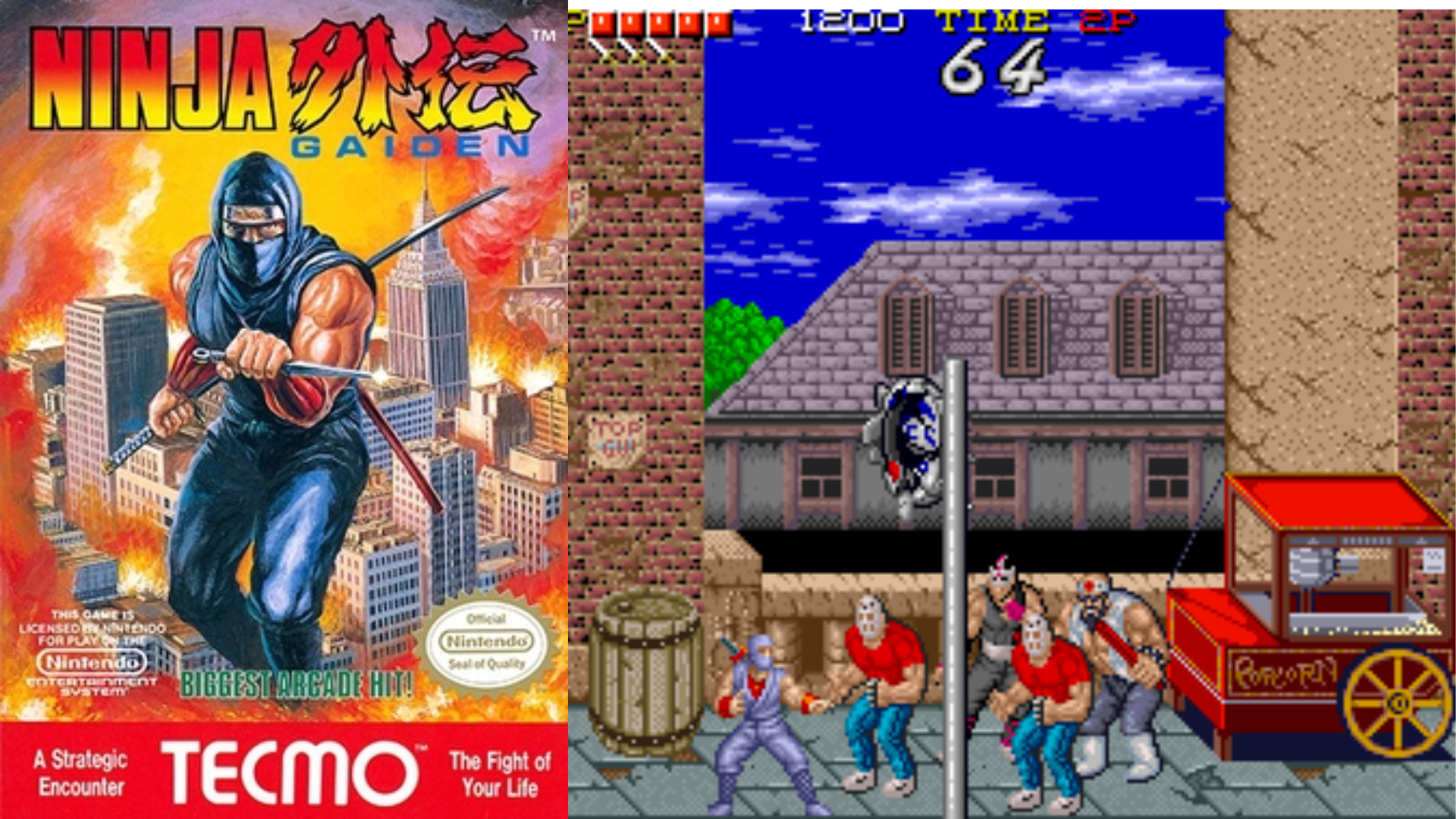 Ninja Gaiden cover art next to a gameplay screenshot
