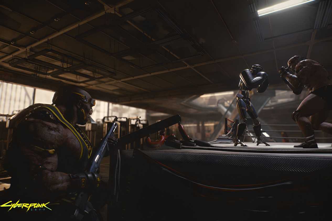 An image from Cyberpunk 2077, showing a boxing ring.