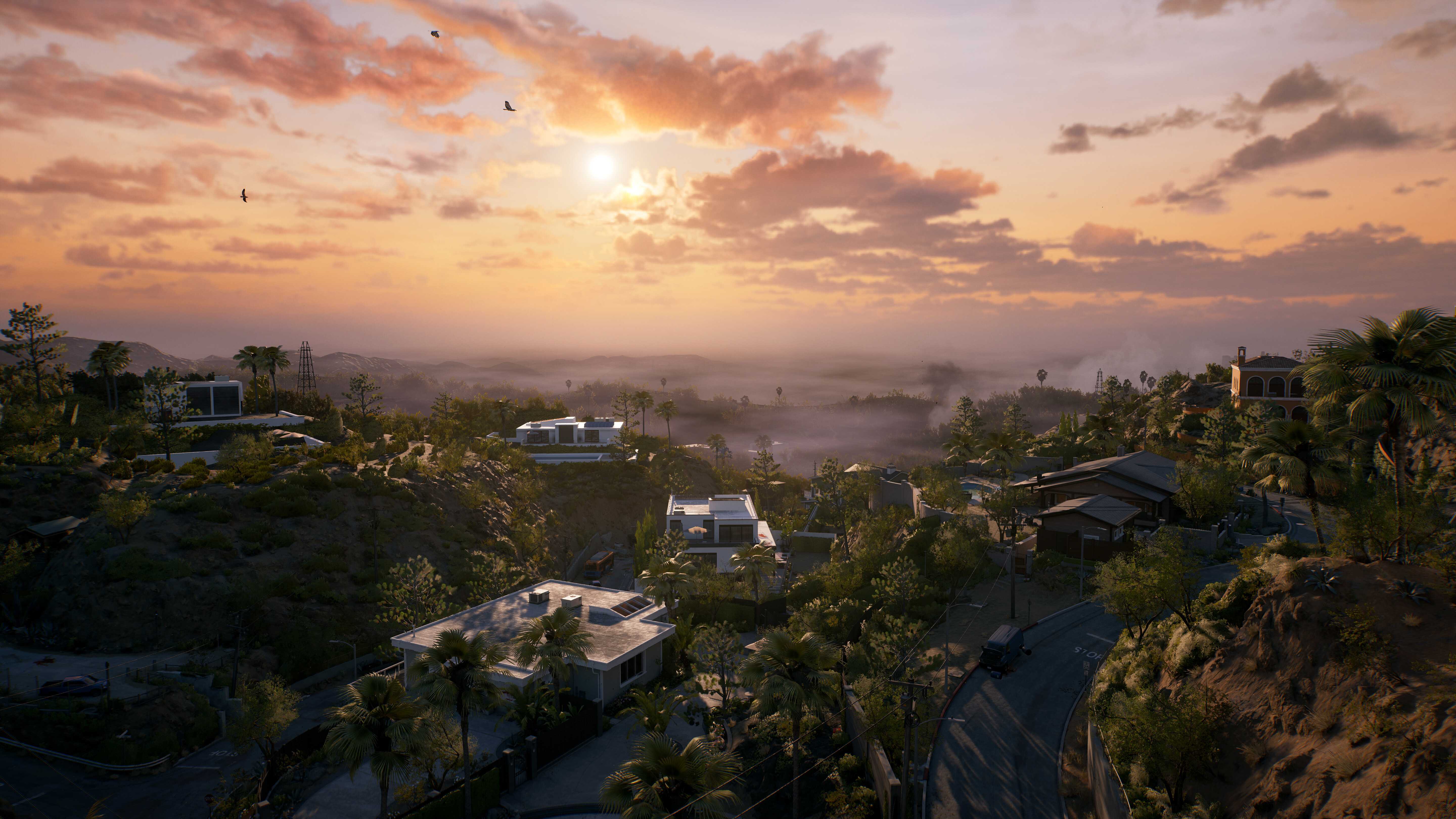 the horizon and large houses in a fictional version of California