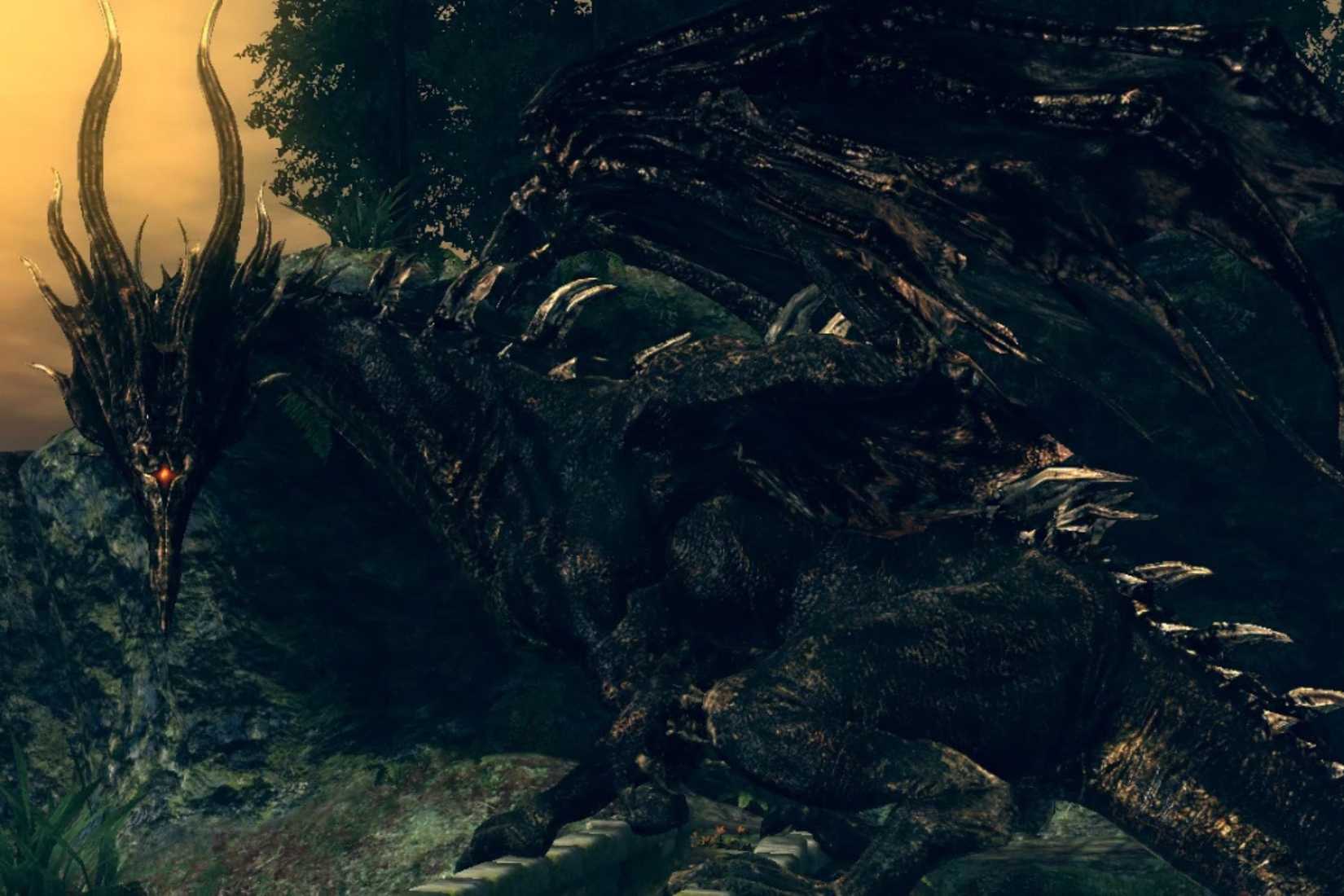 Dark Souls Kalameet glaring back