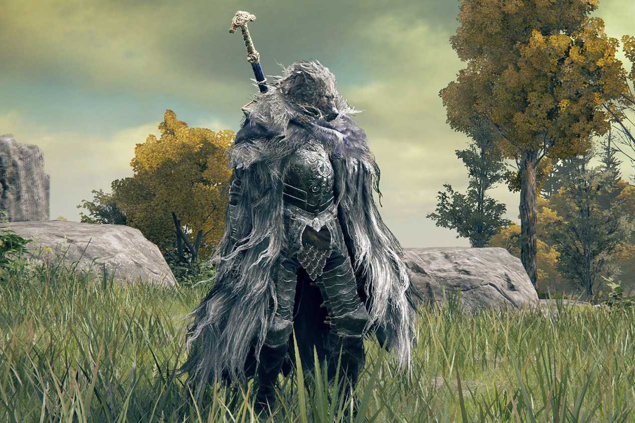 Elden Ring Blaid standing in field