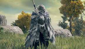 Elden Ring Blaid standing in field