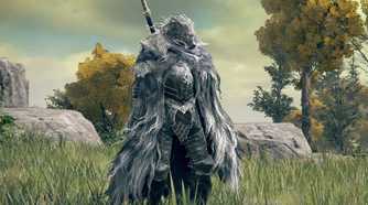 Elden Ring Blaid standing in field