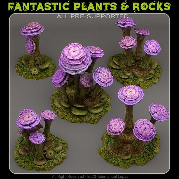 Faeries Mushrooms