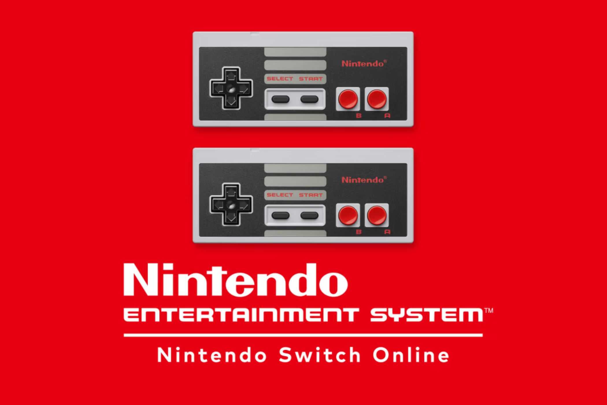 Nintendo Switch Online NES Controllers