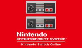 Nintendo Switch Online NES Controllers