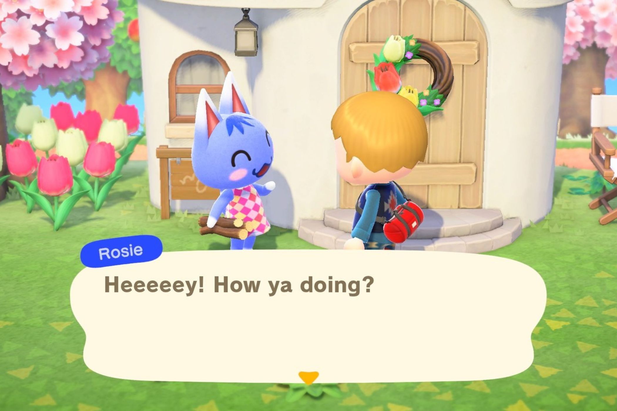 Animal Crossing new horizons villager talking to Rosie