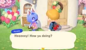 Animal Crossing new horizons villager talking to Rosie